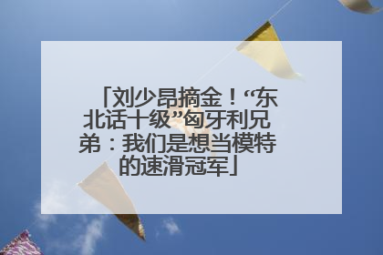 刘少昂摘金！“东北话十级”匈牙利兄弟：我们是想当模特的速滑冠军