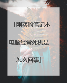 刚买的笔记本电脑经常死机是怎么回事