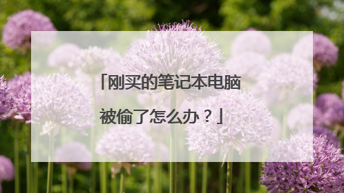 刚买的笔记本电脑被偷了怎么办?