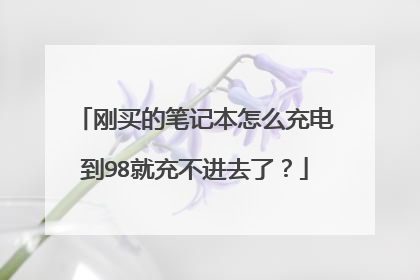刚买的笔记本怎么充电到98就充不进去了？