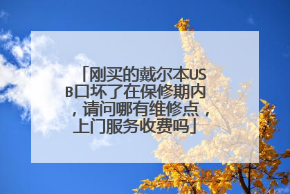 刚买的戴尔本USB口坏了在保修期内,请问哪有维修点,上门服务收费吗