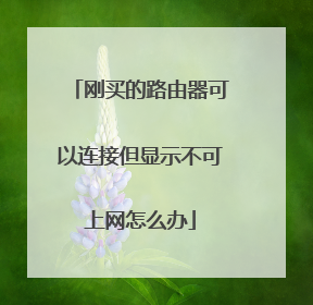 刚买的路由器可以连接但显示不可上网怎么办