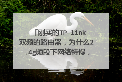 刚买的TP–link双频的路由器，为什么2.4g频段下网络特慢，5g频段下就正常