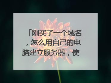 刚买了一个域名,怎么用自己的电脑建立服务器,使这个域名可以让别人访问?