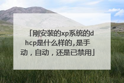 刚安装的xp系统的dhcp是什么样的,是手动，自动，还是已禁用