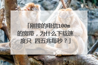 刚接的电信100m的宽带,为什么下载速度只 四五兆每秒?