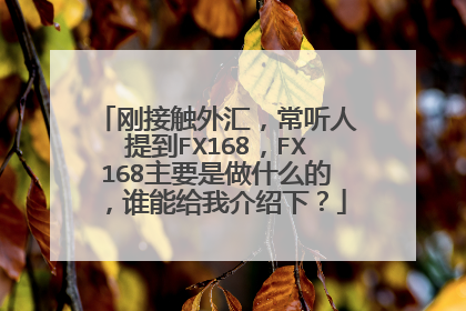 刚接触外汇，常听人提到FX168，FX168主要是做什么的，谁能给我介绍下？