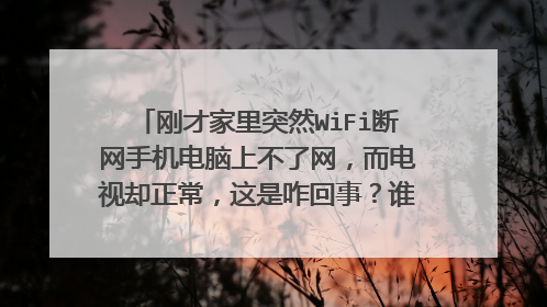 刚才家里突然WiFi断网手机电脑上不了网,而电视却正常,这是咋回事?谁知道原因解决方法