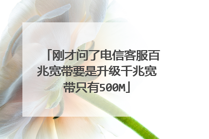 刚才问了电信客服百兆宽带要是升级千兆宽带只有500M