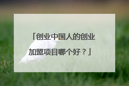 创业中国人的创业加盟项目哪个好?