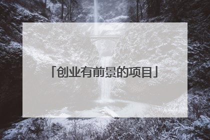 创业有前景的项目