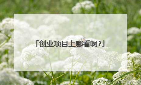 创业项目上哪看啊?