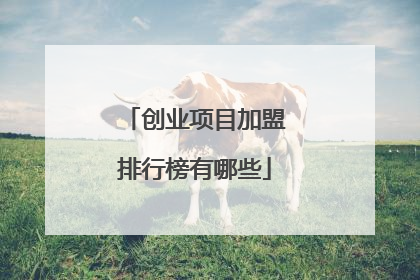 创业项目加盟排行榜有哪些