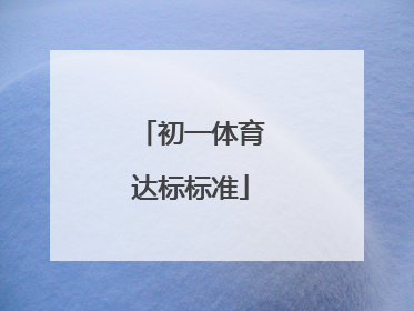 初一体育达标标准