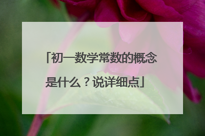 初一数学常数的概念是什么？说详细点