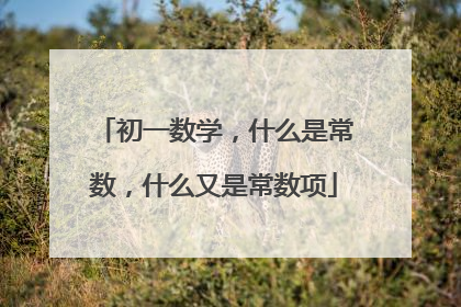 初一数学，什么是常数，什么又是常数项