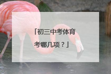 初三中考体育考哪几项？