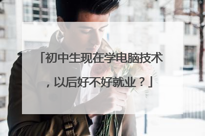 初中生现在学电脑技术,以后好不好就业?