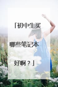 初中生买哪些笔记本好啊?