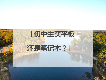 初中生买平板还是笔记本？