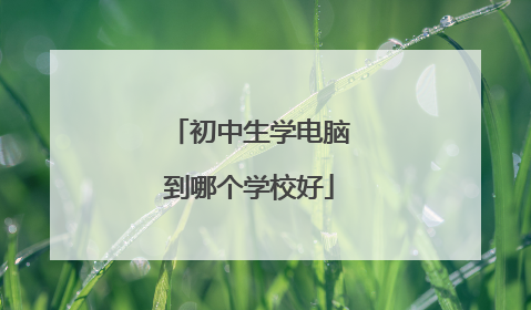 初中生学电脑到哪个学校好