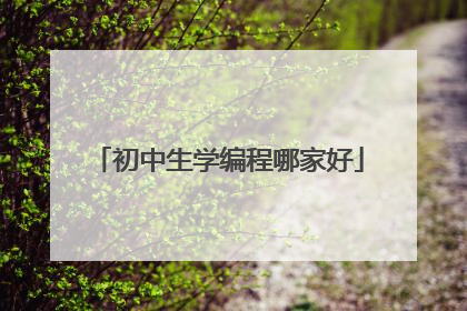 初中生学编程哪家好