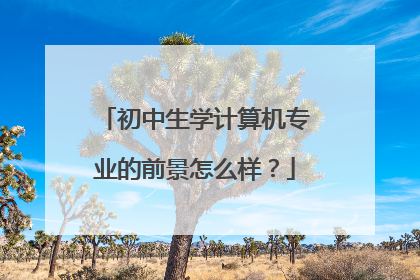 初中生学计算机专业的前景怎么样?