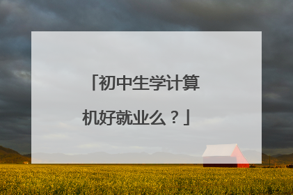 初中生学计算机好就业么?
