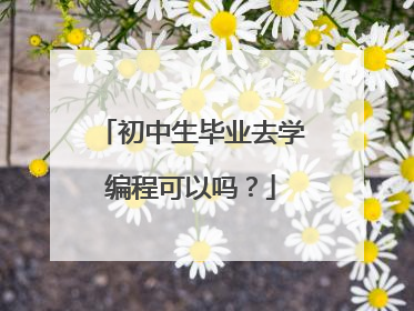 初中生毕业去学编程可以吗？