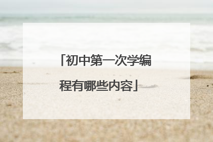 初中第一次学编程有哪些内容