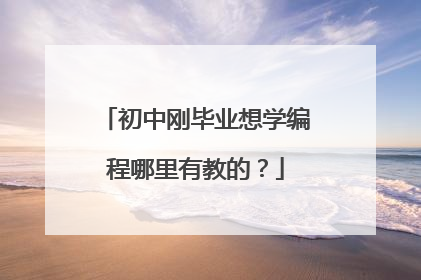初中刚毕业想学编程哪里有教的?
