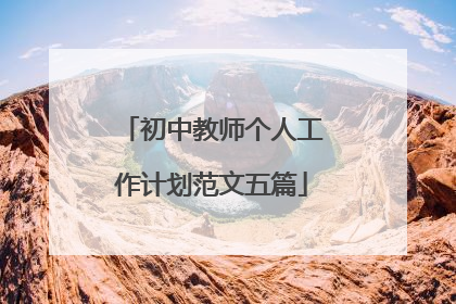 初中教师个人工作计划范文五篇