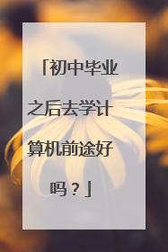 初中毕业之后去学计算机前途好吗?
