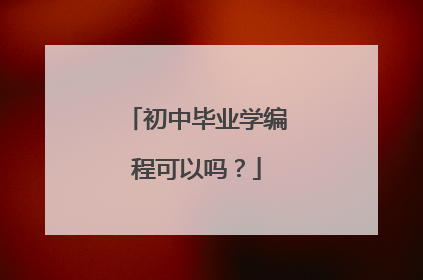 初中毕业学编程可以吗？