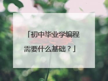 初中毕业学编程需要什么基础?