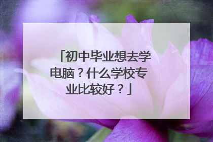 初中毕业想去学电脑?什么学校专业比较好?