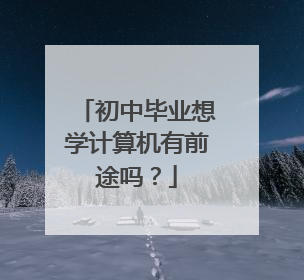 初中毕业想学计算机有前途吗?