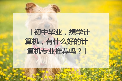 初中毕业,想学计算机,有什么好的计算机专业推荐吗?