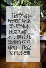 初学者乒乓球拍应该买5层纯木还是7层纯木，推荐几款廉价乒乓球拍，我宜家有3只蝴蝶，想用纯木练宜家基本功