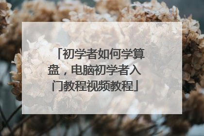 初学者如何学算盘,电脑初学者入门教程视频教程