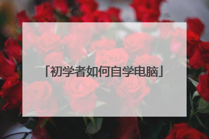 初学者如何自学电脑