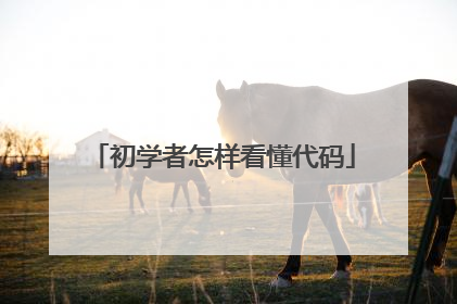 初学者怎样看懂代码