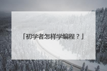 初学者怎样学编程?