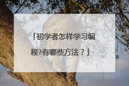 初学者怎样学习编程?有哪些方法？