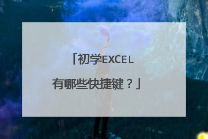 初学EXCEL有哪些快捷键?