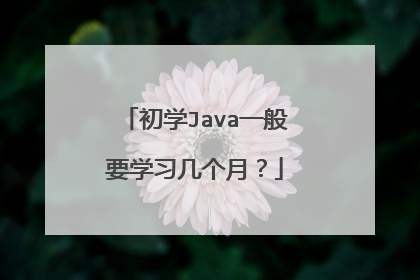 初学Java一般要学习几个月?