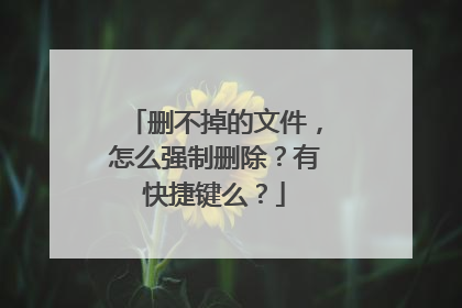 删不掉的文件，怎么强制删除？有快捷键么？