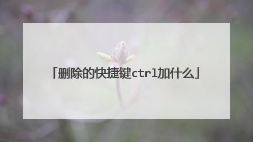 删除的快捷键ctrl加什么