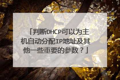 判断DHCP可以为主机自动分配IP地址及其他一些重要的参数?