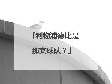 利物浦德比是那支球队？